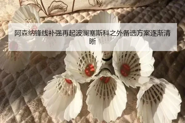 阿森纳锋线补强再起波澜塞斯科之外备选方案逐渐清晰