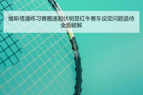 维斯塔潘练习赛圈速起伏明显红牛赛车设定问题亟待全面破解